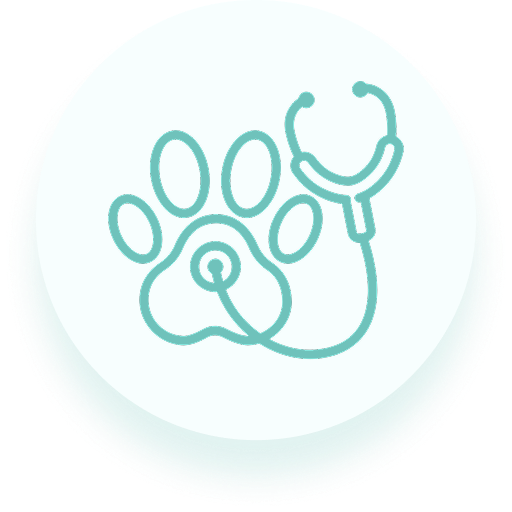 Pet Check-up